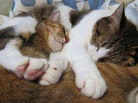 IMG03679.jpg