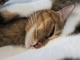 IMG03680.jpg