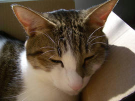 IMGP12367.jpg