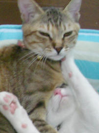 IMGP7623.jpg