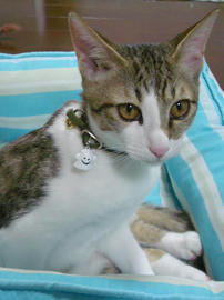 IMGP7631.jpg