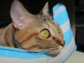 IMG00042.jpg