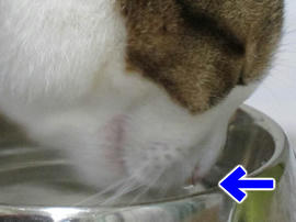 IMG00057.jpg