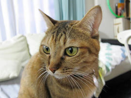 IMG03687.jpg