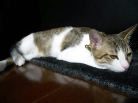 IMGP7642.jpg