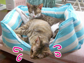IMGP7646.jpg
