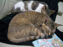 IMGP7651.jpg