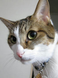 IMG03688.jpg