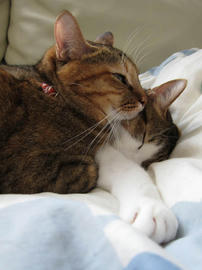 IMG03690.jpg