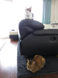 IMG03691.jpg