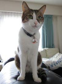 IMG03694.jpg