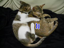 IMGP7746.jpg