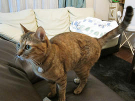IMG03695.jpg
