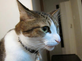 IMG03696.jpg