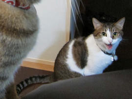 IMG03700.jpg