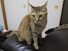 IMG00086.jpg