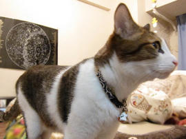 IMG03703.jpg