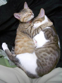 IMGP7861.jpg