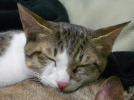 IMGP7919.jpg