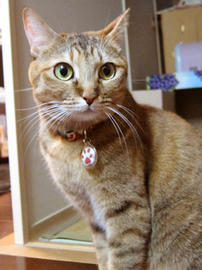 IMG03704.jpg