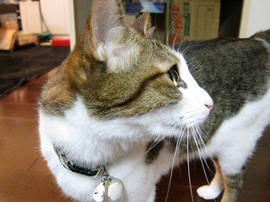 IMG03705.jpg