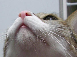 IMGP12406.jpg