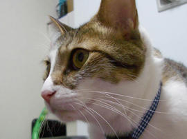 IMGP12408.jpg