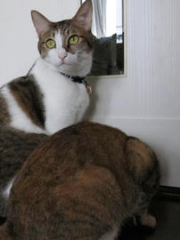 IMG00132.jpg