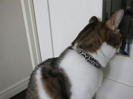 IMG00133.jpg