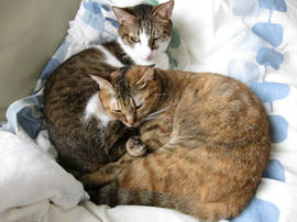 IMG03711.jpg