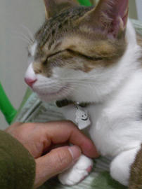 IMGP7944.jpg