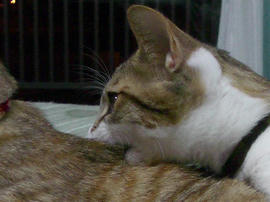 IMGP7967_2.jpg