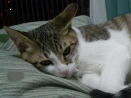 IMGP7975.jpg