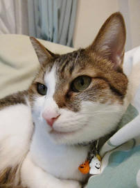 IMG03715.jpg