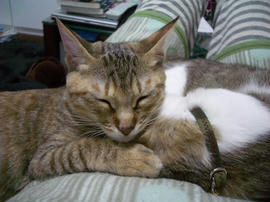 IMGP7994.jpg