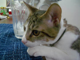 IMGP7986.jpg
