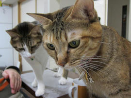 IMG00161.jpg
