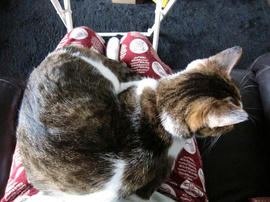 IMG03722.jpg