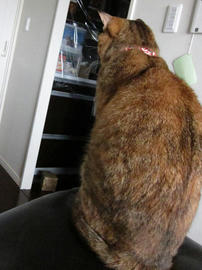 IMG03723.jpg