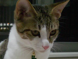 IMGP8030.jpg