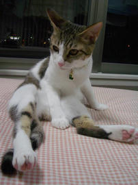 IMGP8031.jpg