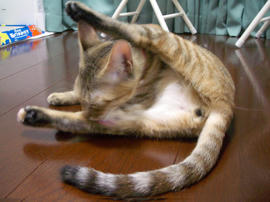 IMGP8035.jpg