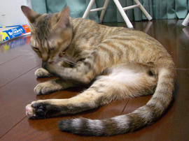 IMGP8036.jpg
