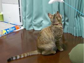 IMGP8051.jpg