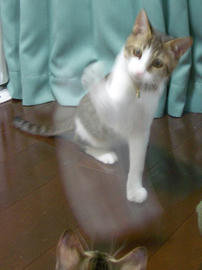IMGP8056.jpg