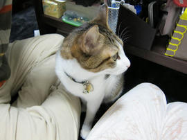 IMG00171.jpg
