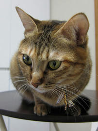 IMG00175.jpg