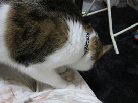 IMG00176.jpg