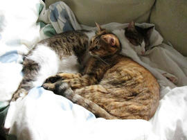 IMG03725.jpg