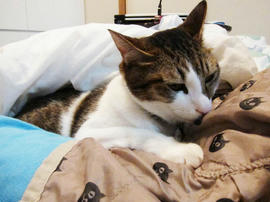 IMG03718.jpg